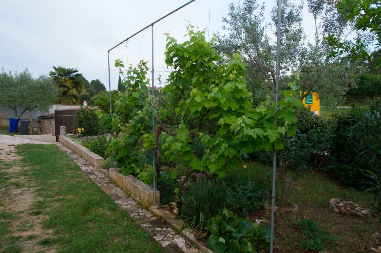 Apartman Garma Rovinj Exterior photo